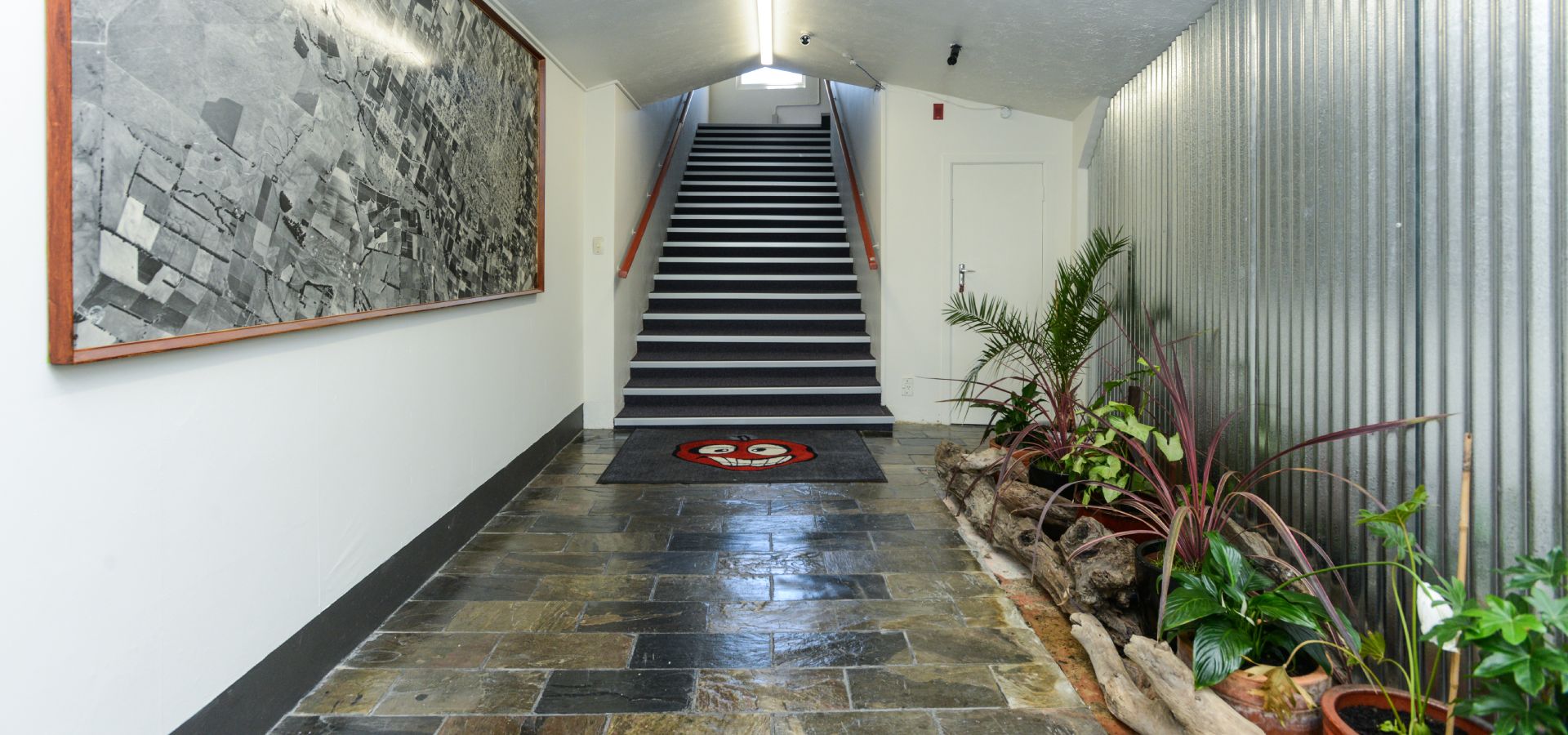 Backpackers in Hastings
